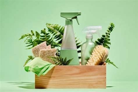 Eco-Friendly Cleaning Worker